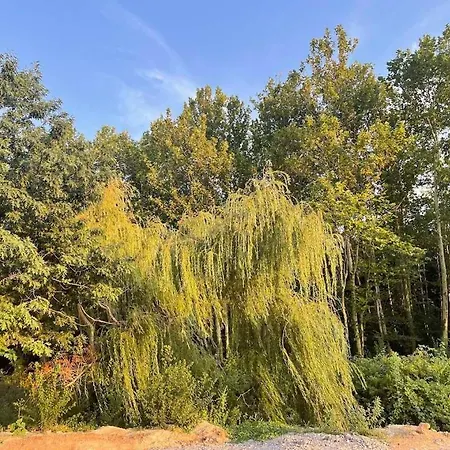 Apartamento бонита плаж градина *