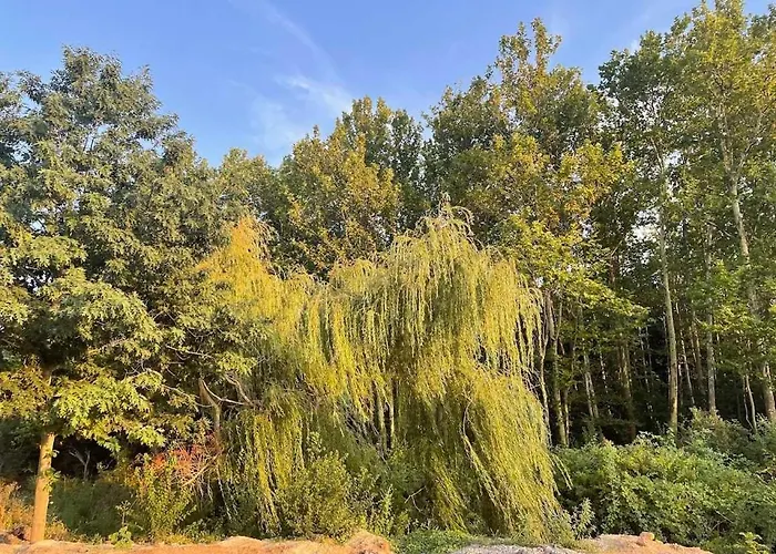 Apartment бонита плаж градина *